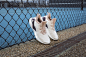adidasRunning的照片 - 微相册