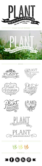 Plant | Advertising: Branding & Logo