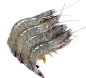 虾1