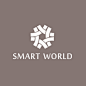 SmartWorld-LOGO，智慧天下集团LOGO