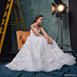 Sareh Nouri Fall 2019 Wedding Dresses
The "Hollywood" Bridal Collection