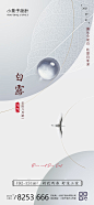 地产白露节气海报