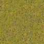 Grass0054_5_M