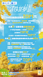 奔跑吧·生态篇 综艺海报 收视率海报 创意海报 排版参考