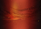 8e88c023b7377f4b00998d1456994ca0c62ff7db274b2-9f2mfm_fw1200