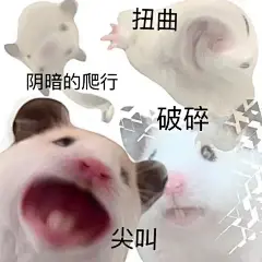 发疯表情包（别管wor啦）（尖叫）