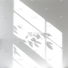 王良笨鸡采集到夹子