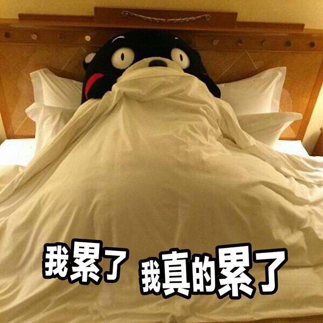 我累了我真的累了