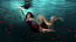 Martha Suherman在 500px 上的照片Ocean of Roses