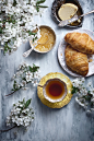 food flatlays : studio food photography flatlays for advertisement