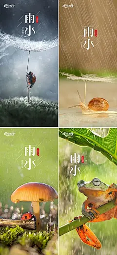 海报 二十四节气 雨水 蜗牛 创意 蘑菇 青蛙