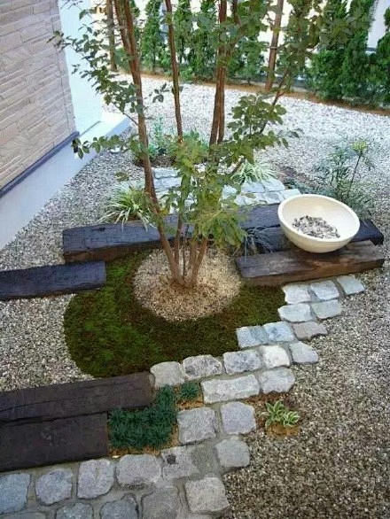 家中天井