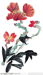 中国国画之花类植物-曲茎红色花卉