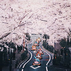旸乌乌采集到【参考】日本