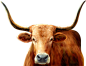 3d756f0ee2c377d9b01356efb9a34212
