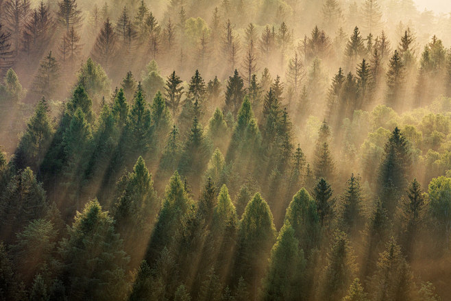 Martin Rak on Behanc...