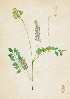 yeyuanqing2008采集到中药