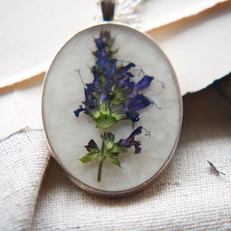 植物标本项链 lavender #原创#...