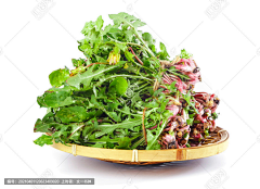 写给前任的999封情书采集到野菜