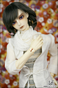 娃娃 Super Senior Delf CIRRUS : Korea Ball Jointed Doll Company