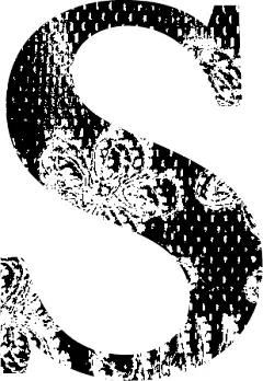 type1_S