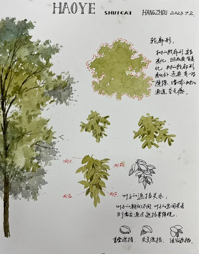 树的画法，第n遍了 - 小红书-花瓣网