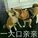 Alan-阿烂