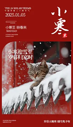 小寒节气海报