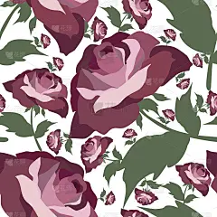 无缝花图案与玫瑰。