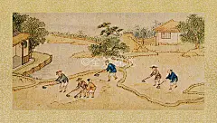 棉花图册图片_棉花图册高清图片_棉花图册图片下载