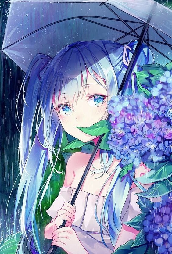 雨天 (1)