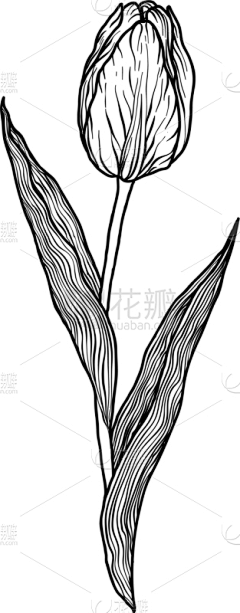VIC周道采集到插画