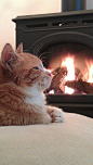 壁炉#温暖#客厅#猫咪