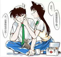 星河依旧采集到名侦探柯南
