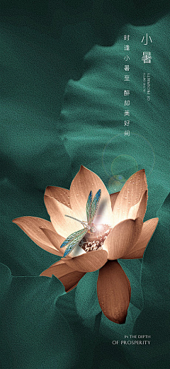 我辈岂是茼蒿人采集到节气，海报