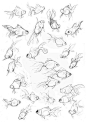 fish studies ✤ || CHARACTER DESIGN REFERENCES | キャラクターデザイン • Find more at https://www.facebook.com/CharacterDesignReferences if you're looking for: #lineart #art #character #design #illustration #expressions #best #animation #drawing #archive #library #re