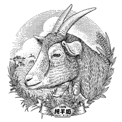 407036da8fcd4b44b8fef328b2d22fd7采集到插画