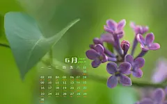 2014年6月小清新高清护眼桌面壁纸