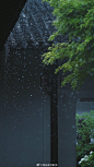 ｜瞻园·听雨丨春雨中的瞻园，游人寥寥，听雨落在檐上，落在花叶上，落入水里，溅起一串涟漪，也就落进了人的心里。#遇见美好时光##你好春天##2020，我的春天##我家的春天##摄影##最南京，全民拍##带着微博去旅行##遇见春光##随手拍最美春天# ​​​​