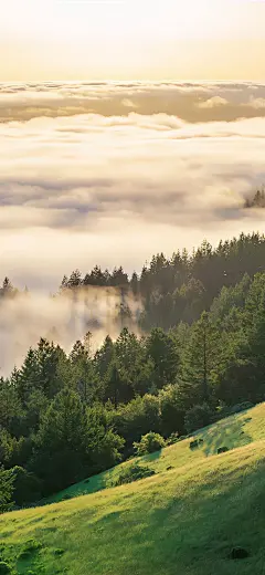 @一百个大不刘  壁纸