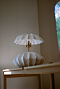 Hexacorallia Table Lamp