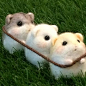 Cute Needle felting wool mice(Via @hapipupetto)