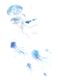 5 (13)
