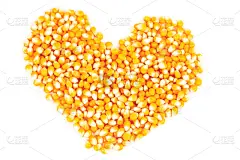 玉米,种子,有机食品,心型,特写,长寿饮食,水平画幅,无人,生食,干的