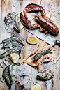 detailed shots. variety of seafood that we can incorporate with other materials.: 