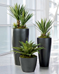 Broad Leaf Agave Artificial Plant available at Silkflowers.com: 