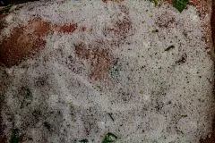 用干盐腌制的猪里脊或背部关节，使培根贴近。