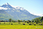 阿尔卑斯山(瑞士段)