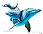 海洋动物海豚鲸鱼母子PNG免扣素材_PNG素材_素材下载-乐分享素材网