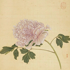 橘叁采集到白描